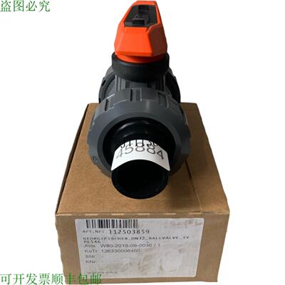 供应Georg Fischer 546 Pro 型 DN32 Robinet &amp;amp;amp;a