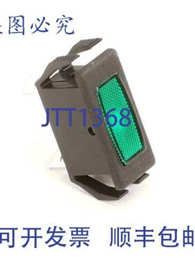 供应Pitco PITPTPP10331 的 125V 绿光矩形灯 PTPP10331