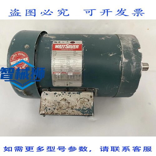 现货供应 LEESON WATTSAVER C143T17FC16C 电机 230/460 VAC 1725