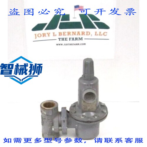 原装供应 BEAS 调节器 P627 BEL 121828 1 MNPT SS 微调 WCB 本