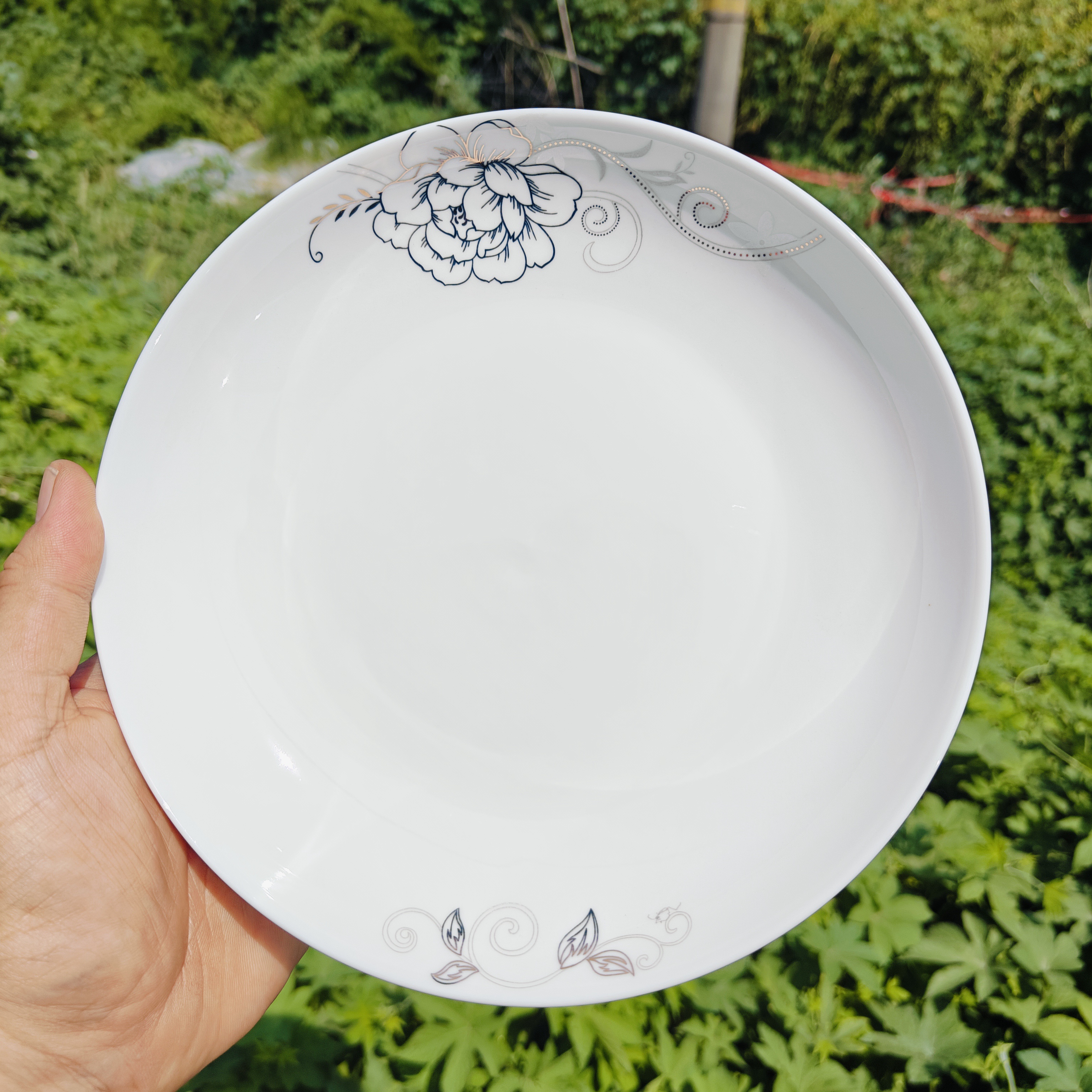 8英寸盘子菜盘家用 盘子创意网红盘子套装组合  家用新款鱼盘子碟