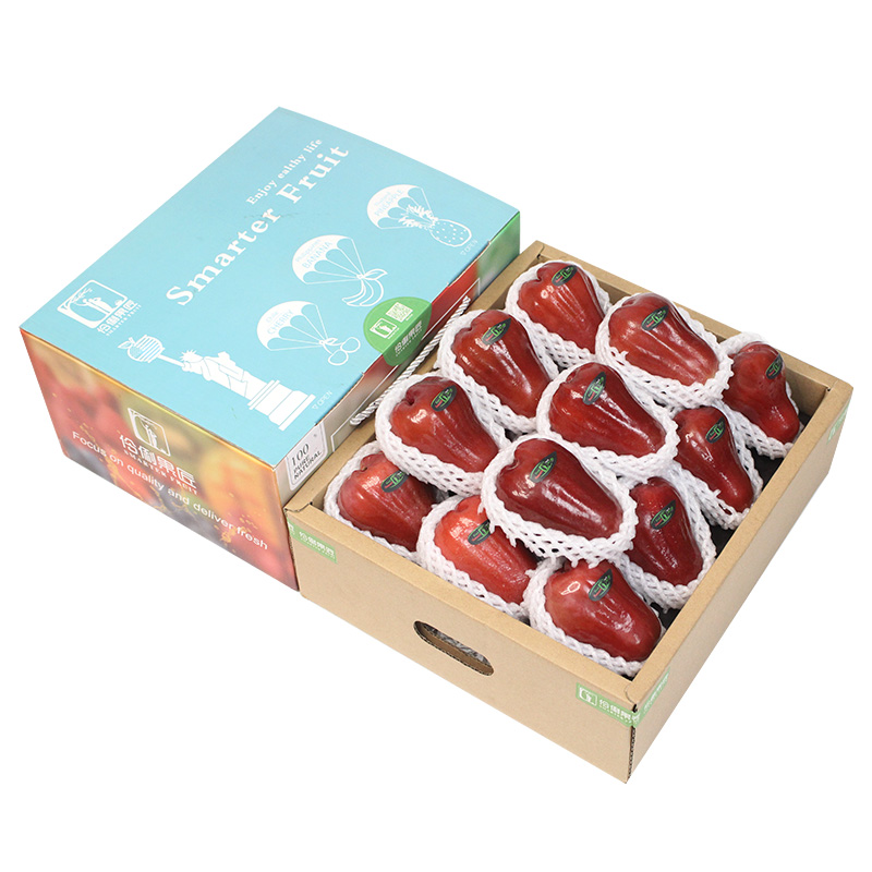 礼盒装黑珍珠莲雾高端水果包顺丰