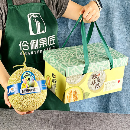 顺丰包邮1个/4个冰激凌软肉蜜瓜海南哈密网纹瓜新鲜水果高端送礼