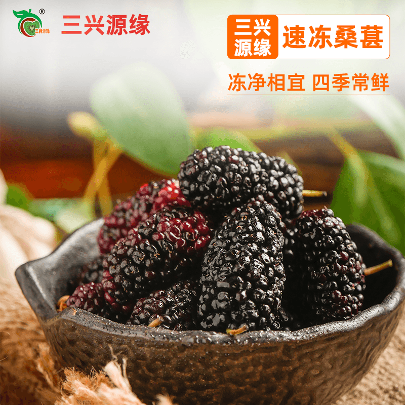 冷冻桑葚果肉1kg 奶茶甜品店专用冷冻桑葚子泡儿新鲜桑果颗粒果肉