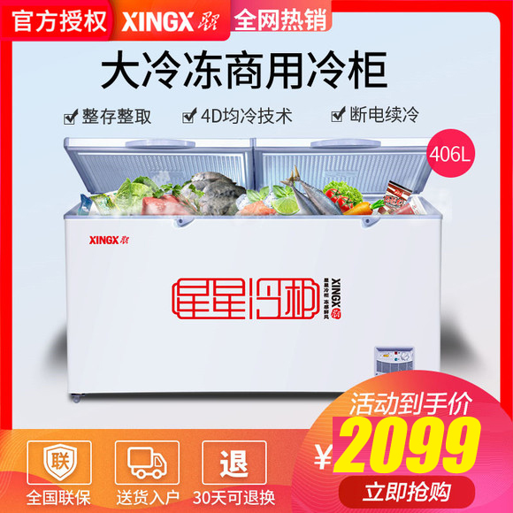 XINGX/星星 BD/BC-406E 大冰柜商用大容量冷柜冷藏冷冻柜卧式雪柜