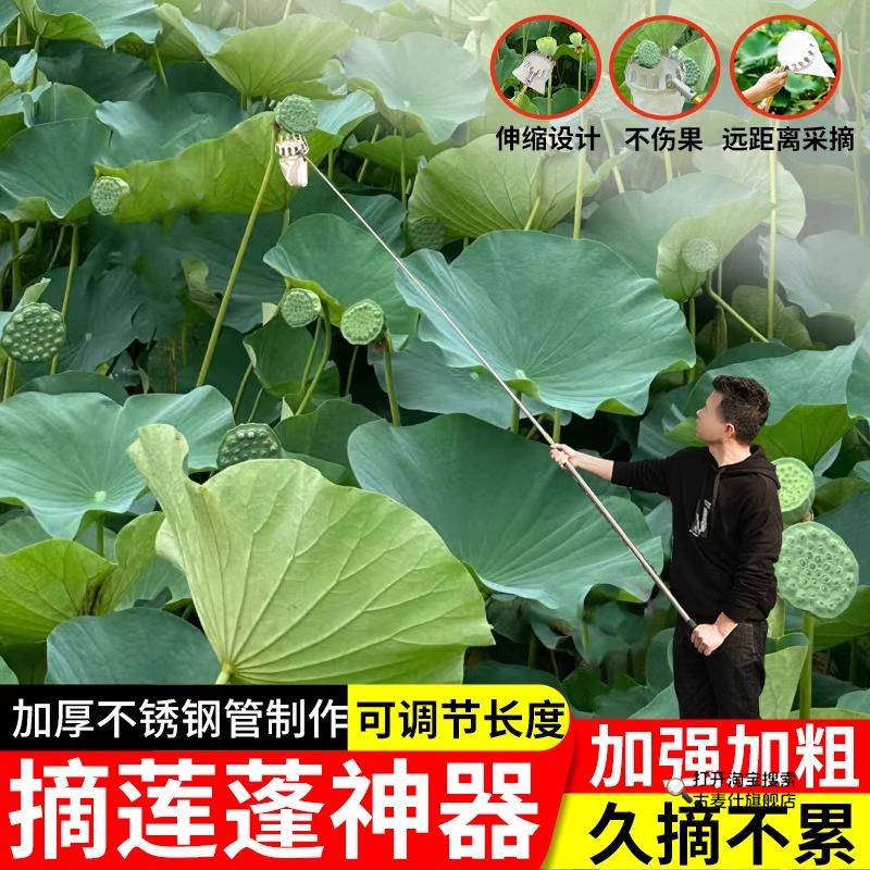 摘莲蓬神器伸缩杆莲子采摘器高空高处采摘水果网兜长杆摘果器10米