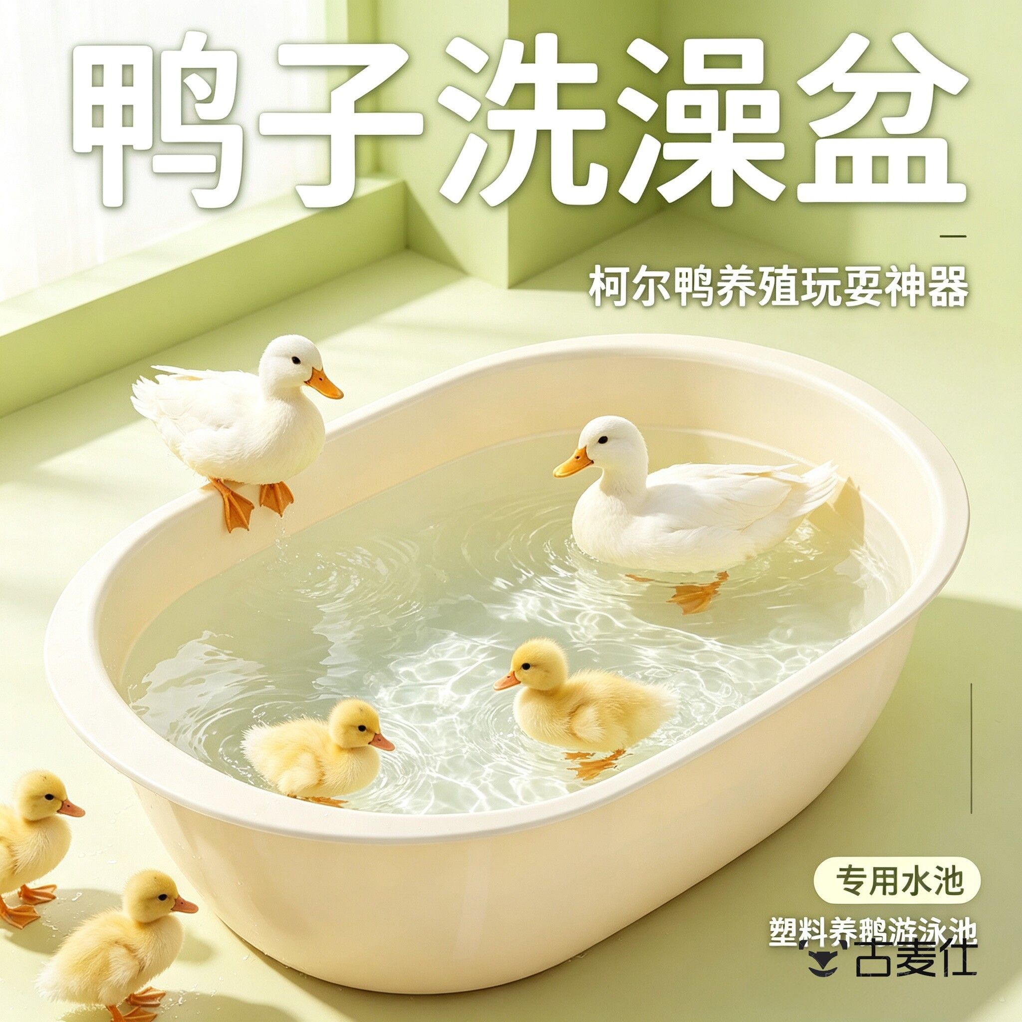 鸭子洗澡盆柯尔鸭养殖玩耍专用水池塑料养鹅养鸡游泳池宠物用品