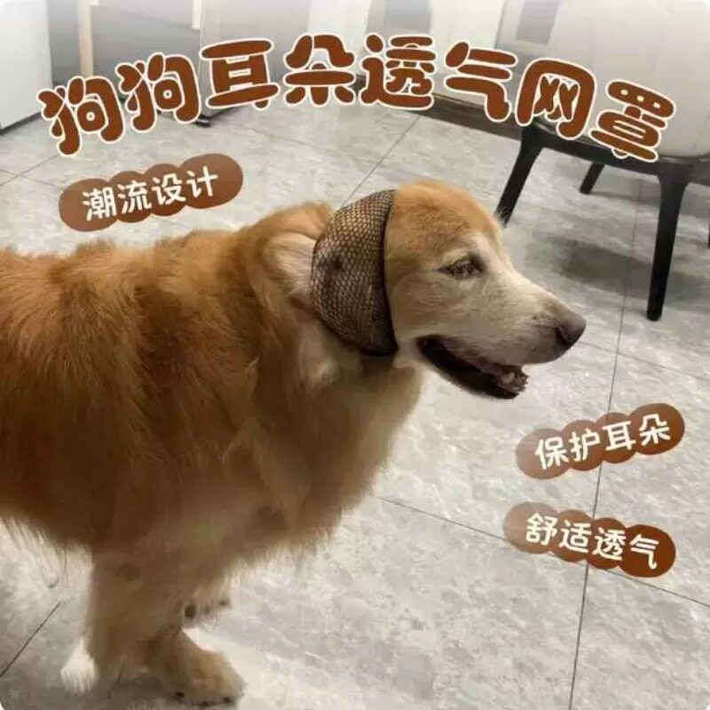 金毛晾耳朵散热神器耳朵固定夏天大耳朵防发炎网眼透气除臭防感染