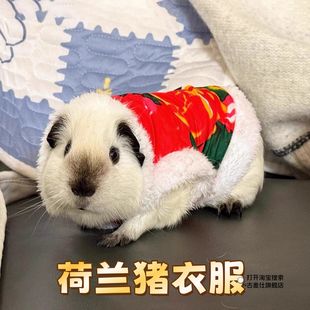 荷兰猪新年衣服秋冬加绒加厚保暖东北大花袄喜庆幼犬宠物喜庆装