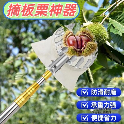 摘板栗神器伸缩杆高空摘果器摘核桃专用工具打毛栗采酸枣柿子网兜