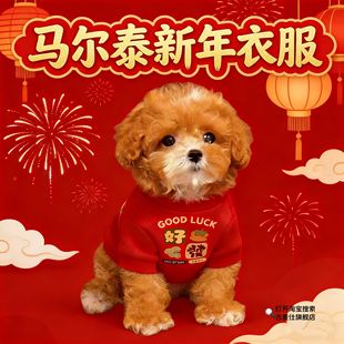 马尔泰幼犬衣服狗狗过年喜庆衣服小型犬秋冬季加厚防风保暖两脚衣