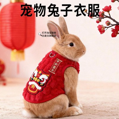 兔子新年衣服侏儒垂耳兔幼兔可爱专用过冬春节红色过年保暖宠物