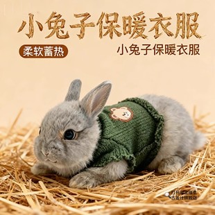 超小号兔子秋冬保暖衣服小体秋冬天侏儒兔幼兔宝宝穿的毛衣防寒冷