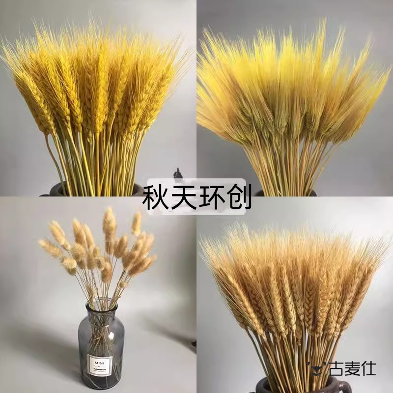 假麦穗谷子仿真麦子稻谷大麦穗棉花芦苇女装店橱窗仿真花秋天主题