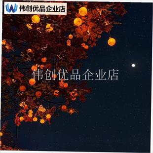 太阳能发光柿子灯灯笼新年u民宿庭院花园树木亮化氛围灯低压防雨,