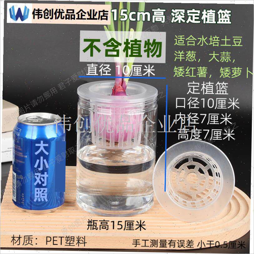 水培洋葱器e皿塑料透明圆柱形花盆土豆红薯大蒜蔬菜定植篮种植瓶,