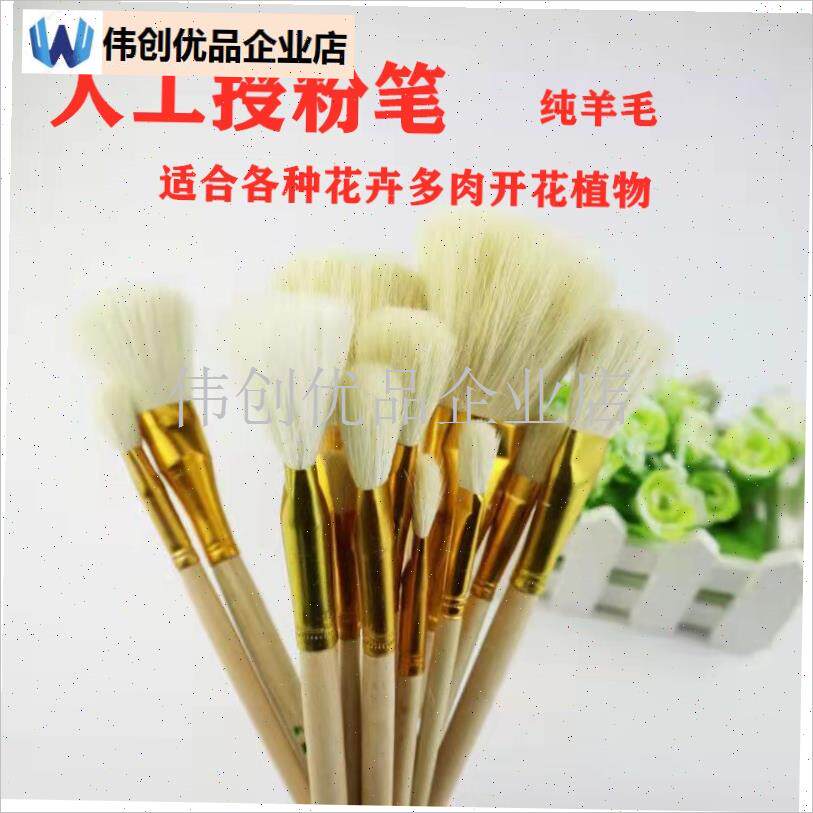 草莓花卉植物专用多肉果s树盆栽人工授粉吸附力强生石花肉锥授粉,