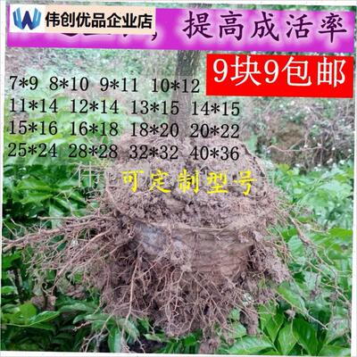 9.9包邮可降解l环保型不织布育苗袋 营养袋树苗袋免脱袋大量现货,