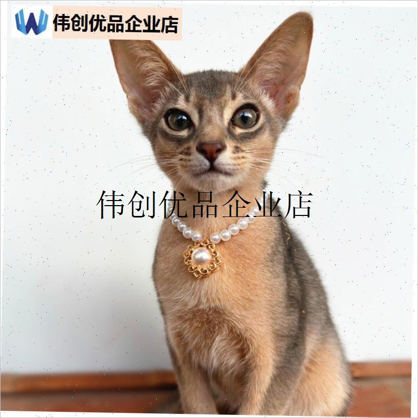 `猫咪珍珠项链猫咪项链宠物用品装饰复I古宝石阿比西尼亚猫饰品挂