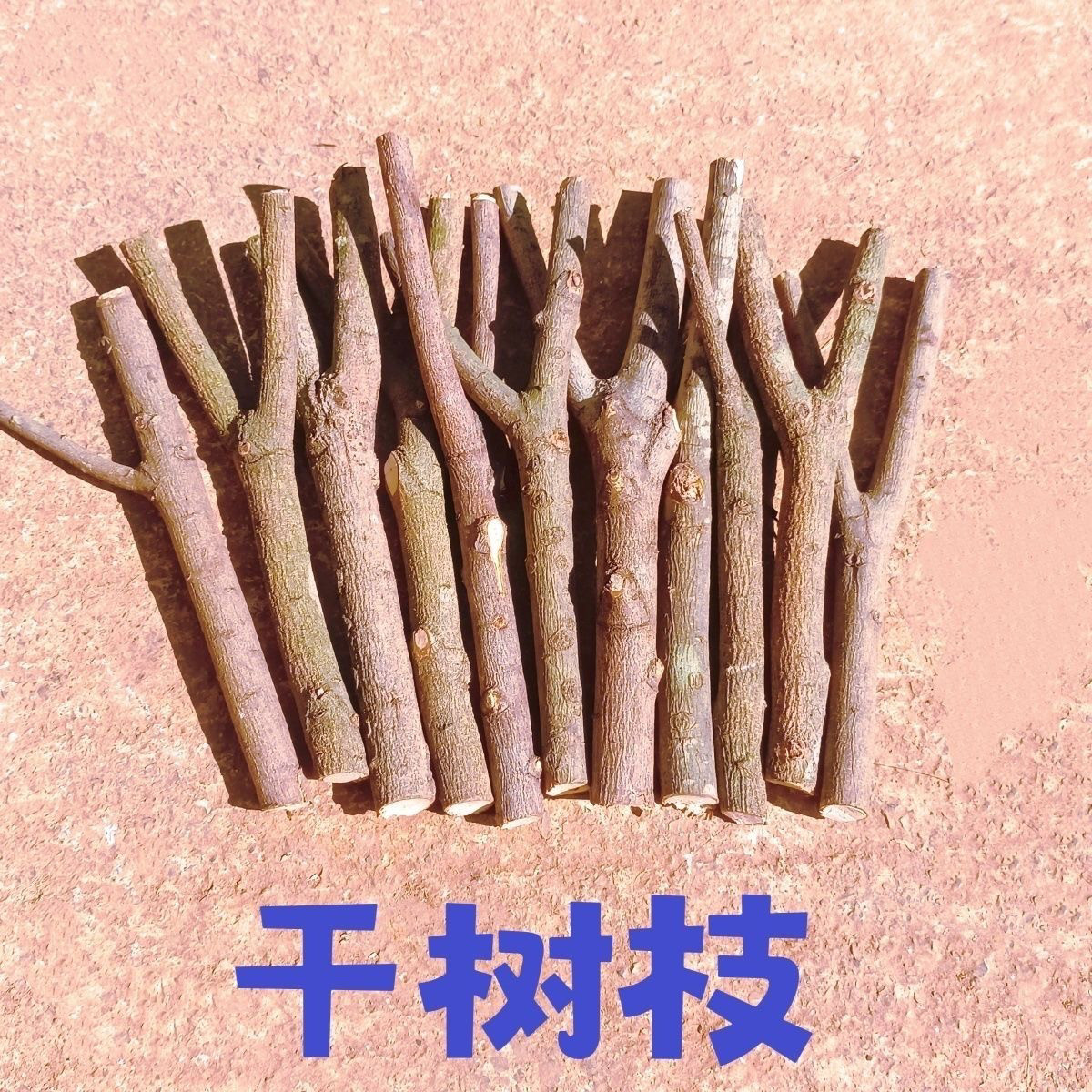 小树杈干树枝幼儿园手工DIY天然森系挂饰结构材料环创原木装饰品