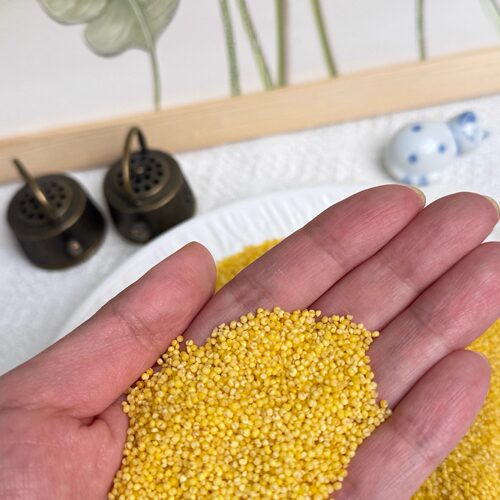 云南黄小米新米5.1元1斤包邮