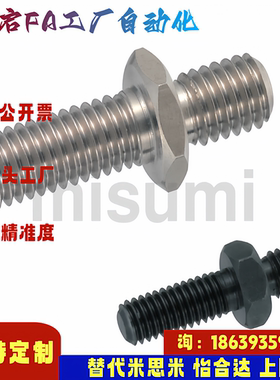 米思米同款RSBB3 RSBB4 RSBB5 RSBB6 RSBB8 RSBB10螺栓六角双头型