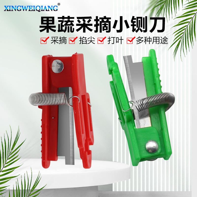 水果掐蔬菜采摘刀葡萄尖掐须刀摘菜采摘拇刀铡豆角黄瓜指摘果小刀