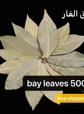 大月桂叶奶茶香料Indian food Bay Leaves Leaf 印度风味食品500g