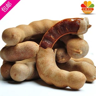 fresh孕妇酸角新鲜水果印度dates sweet 500g sour Tamarind