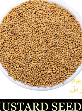 MUSTARD SEEDS & powder ground spicy mustard 500g芥末籽