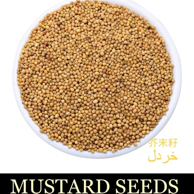 MUSTARDSEEDS&powder热香料