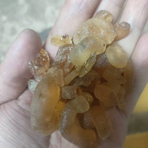 SUDANArabicgum阿拉伯树胶
