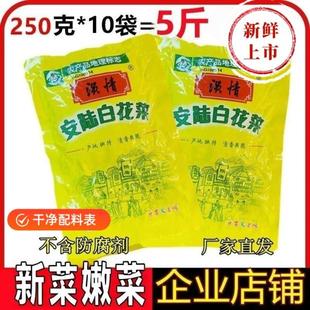 孝感特产白花菜云梦安陆白花菜新鲜250克/袋白花菜安陆百花菜
