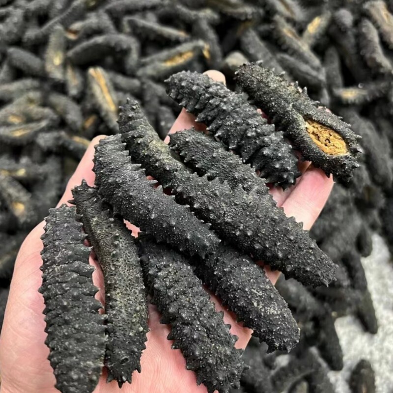 黑刺参 野生摩洛哥淡干海参500g 印尼猪婆参天然海鲜干刺秃肥仔参