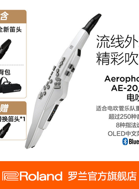 Roland罗兰 电吹管AE-20WAerophone电萨克斯电子吹管乐器带扬声器