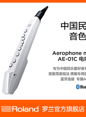 Roland罗兰AE-01C 白色中国民乐音色版电子吹管乐器扬声器电吹管