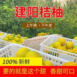 新鲜当应季水果建阳桔柚甜橘柚水果黄心薄皮小桔子柚子含纸箱10斤