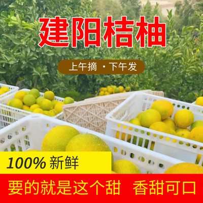 建阳桔柚桔柚桔子当季水果多汁