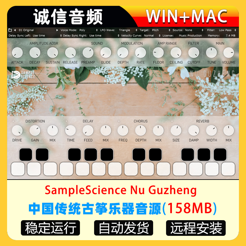 中国传统古筝乐器音源SampleScience Nu Guzheng WIN+MAC