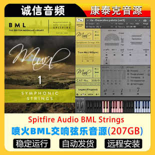 喷火管弦乐Spitfire Audio Mural Symphonic Strings Ensembles