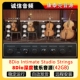 – 8Dio Intimate 8Dio深度弦乐音源 Studio Strings