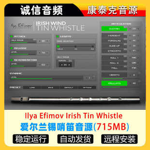 爱尔兰锡哨笛音源Ilya Efimov Irish Tin Whistle康泰克音源