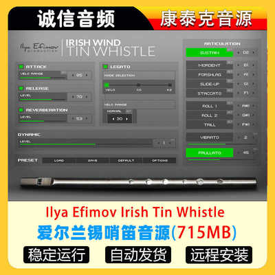 爱尔兰锡哨笛音源Ilya Efimov Irish Tin Whistle康泰克音源