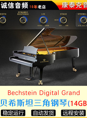 贝希斯坦三角钢琴C. Bechstein Digital Grand康泰克音源