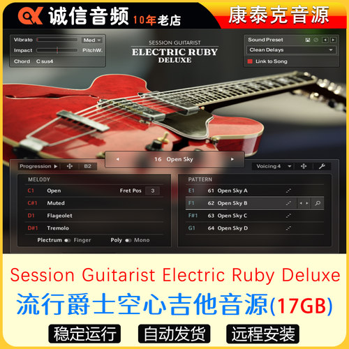 流行爵士空心吉他音源Session Guitarist Electric Ruby Deluxe