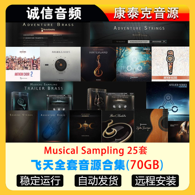 25套Musical Sampling全套合集飞天弦乐铜管吉他鼓音源康泰克音源
