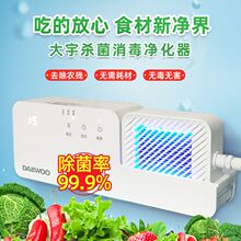 大宇果蔬清洗机卫士壁挂清洗机家用洗菜机全自动水果食材净化机器