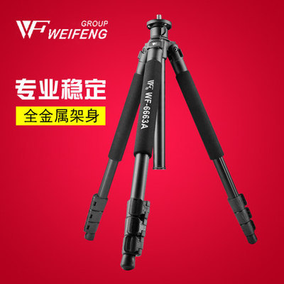 伟峰WF-6663A三脚架单反相机摄通用钓鱼灯打鸟6663A三角架包 配件