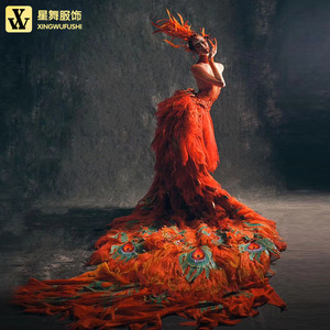 春晚杨丽萍凤鸣朝阳同款舞蹈服