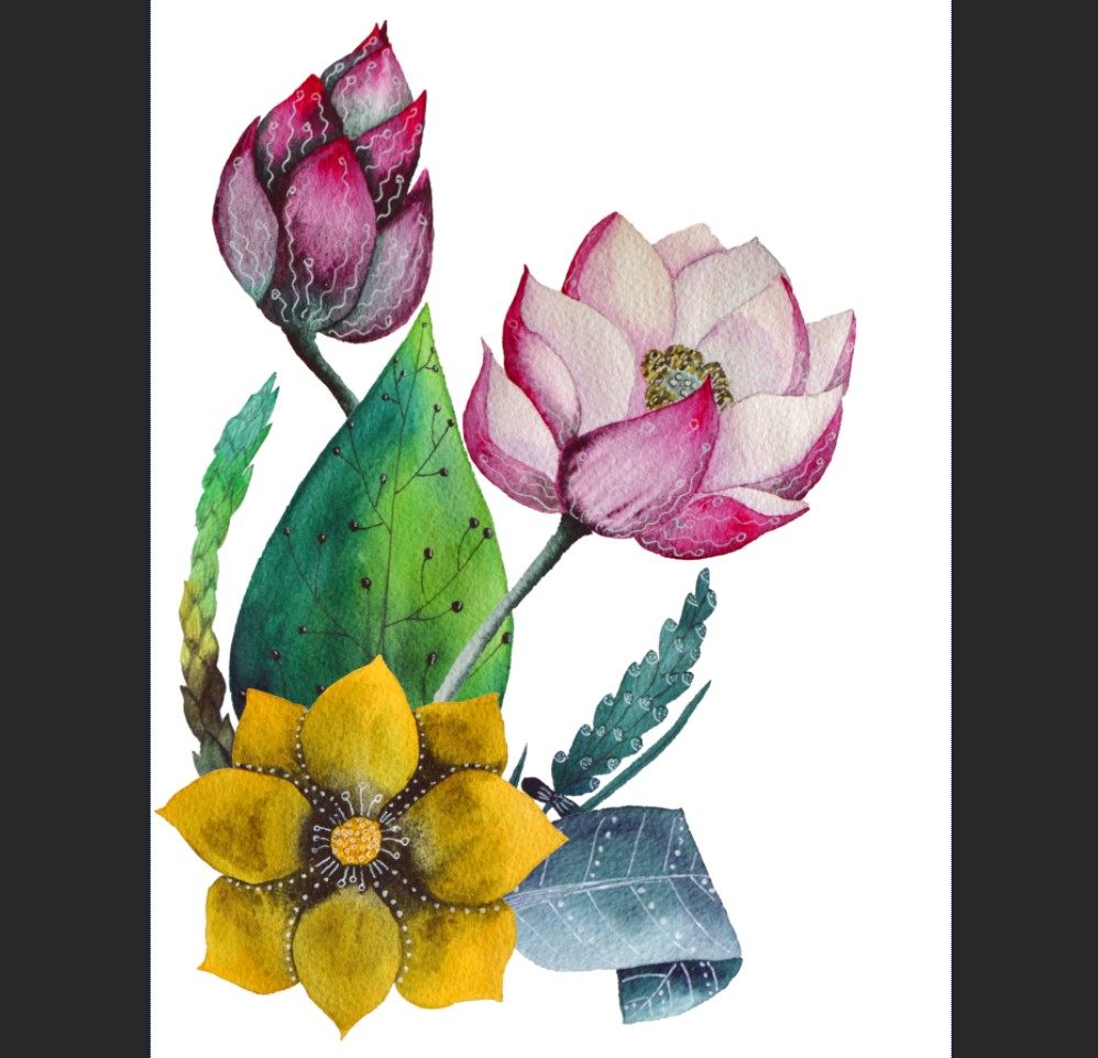 大尺寸高清分辨率设计素材 花朵 荷花k8-42